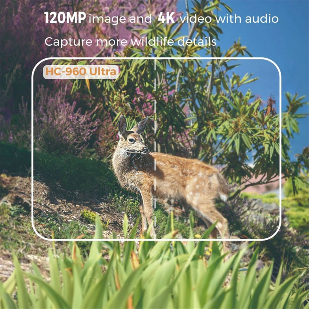 Hunting And Outdoor Shows - อัปเดต กล้องถ่ายภาพสัตว์ป่ากลางแจ้ง 4G 120MP 4K ถ่ายทอดสด