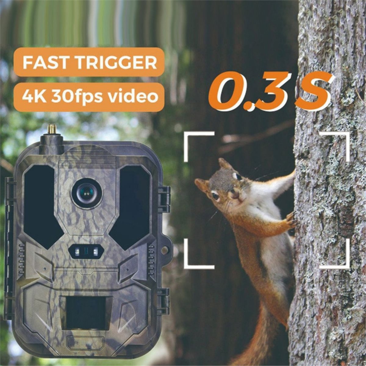 อัปเดต กล้องถ่ายภาพสัตว์ป่ากลา - Hunting And Outdoor Shows บทวิจารณ์และราคา